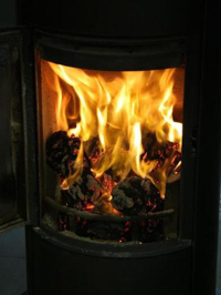 logburner